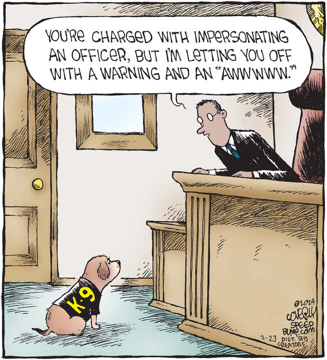 Speed Bump for Feb 23, 2024