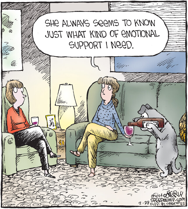 Speed Bump for Feb 29, 2024