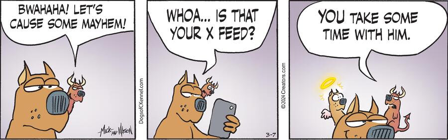 Dogs of C-Kennel for Mar 07, 2024