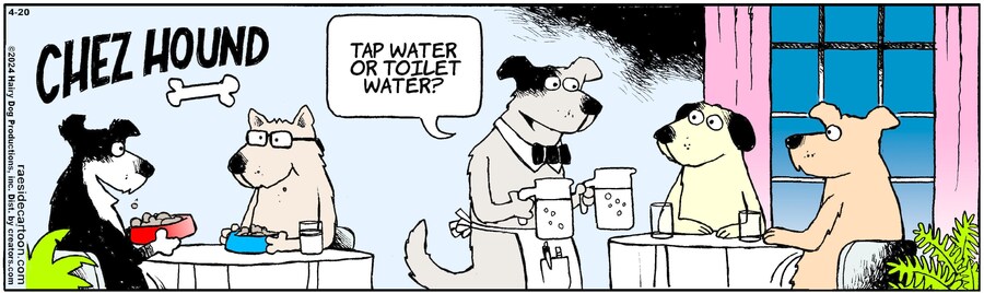 The Other Coast for Apr 20, 2024