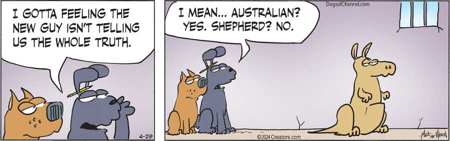 Dogs of C-Kennel for Apr 29, 2024