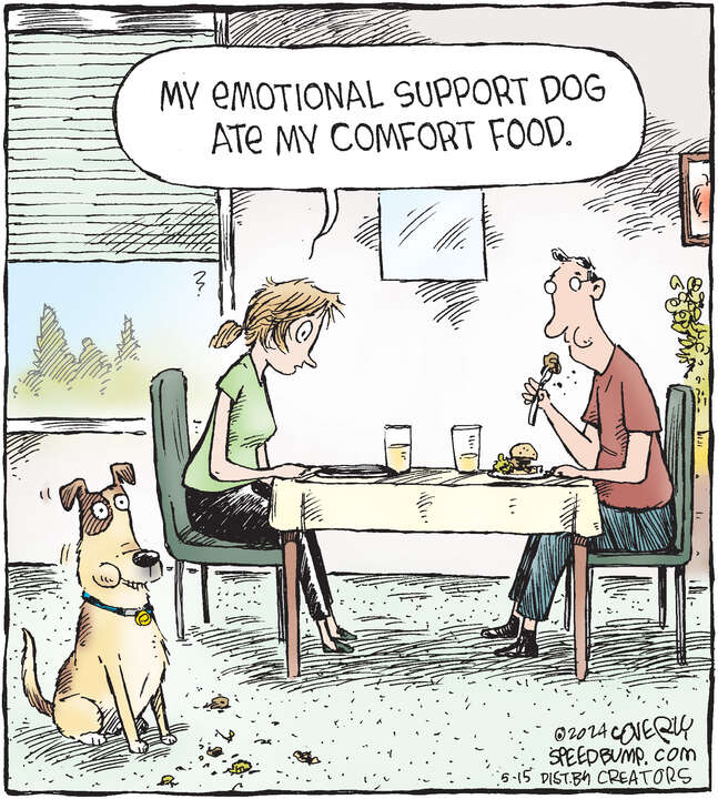 Speed Bump for May 15, 2024