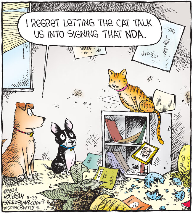 Speed Bump for May 29, 2024