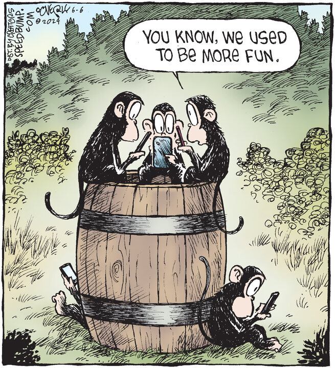 Speed Bump for Jun 06, 2024