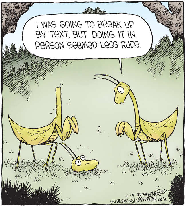 Speed Bump for Jun 29, 2024