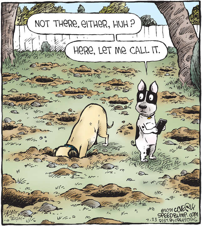 Speed Bump for Jul 23, 2024