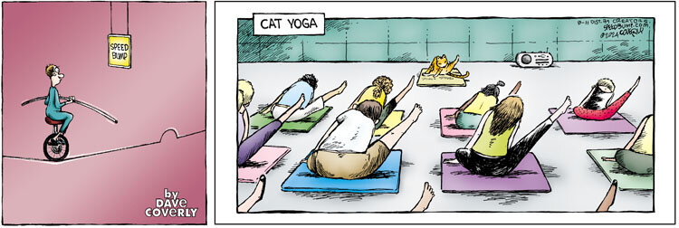 Speed Bump for Aug 11, 2024