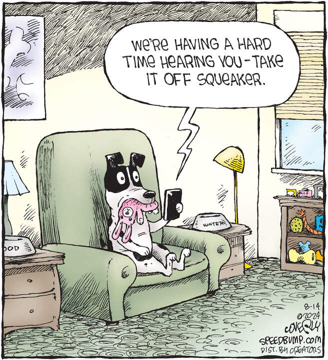 Speed Bump for Aug 14, 2024