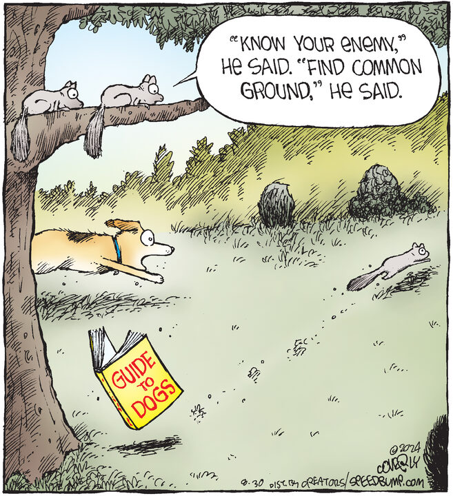 Speed Bump for Aug 30, 2024