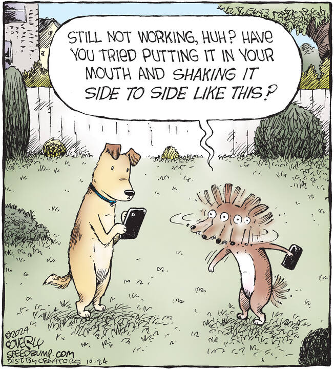 Speed Bump for Oct 24, 2024