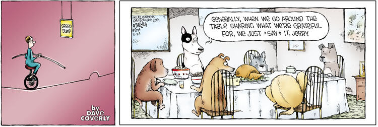 Speed Bump for Nov 24, 2024