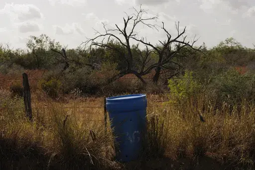 A water station for immigrants containing sealed jugs of fresh water sits along a fence line near a roadway in rural Jim Hogg County, Texas, Tuesday, July 25, 2023. The South Texas Human Rights Center maintains over 100 blue barrels consistently stocked with water across rural South Texas to serve as a life-saving measure for immigrants who have crossed into the United States to travel north in the sweltering heat. (AP Photo/Michael Gonzalez)