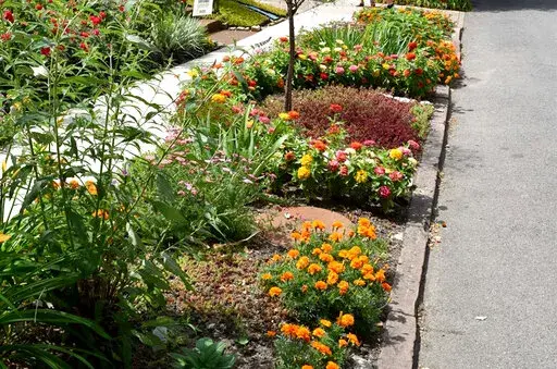 This July 2018, image provided by Jim Charlier shows a colorfully-planted hell strip garden in Buffalo, N.Y. (Jim Charlier via AP)