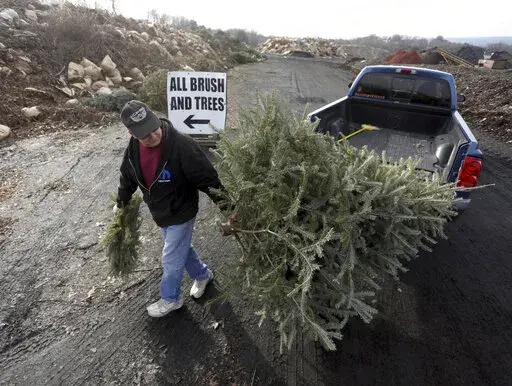 FILE- George Highhouse, of Scranton, brings his Christmas tree and a wreath to Lackawanna County Recycling in Dunmore, Pa., on Jan. 2, 2019. Discarded Christmas trees can be picked up curbside for recycling through regular trash-collection services or or dropped off at locations in various cities. The trees are often shredded for use as compost or mulch that is offered back to residents and non-profit groups free of charge for gardening and landscaping. (Jake Danna Stevens/The Times-Tribune via 