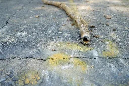 A lead water service line from 1927 lays on the ground on a residential street after being removed on June 17, 2021, in Denver. Some 9.2 million lead pipes carry water into homes across the U.S., with more in Florida than any other state, according to a new Environmental Protection Agency survey that will dictate how billions of dollars to find and replace those pipes are spent. (AP Photo/Brittany Peterson, File)