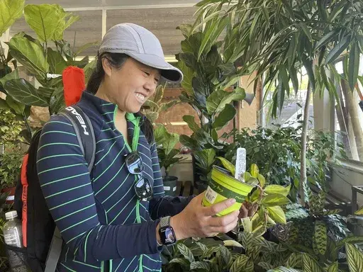 Customer Amy Ashcroft looks at a plant at Flowercraft at Flowercraft, a garden center, on March 13, 2024 in San Francisco. Garden centers enjoyed a pandemic boom, particularly with millennials, as people looked for outdoor activities during lockdowns. (AP Photo/Haven Daley)
