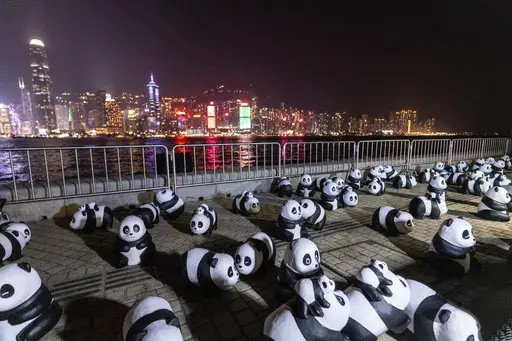 Panda sculptures are displayed at the waterfront of the Victoria Harbour during the panda-themed drone show in Hong Kong, Saturday, Dec. 28, 2024. (AP Photo/Chan Long Hei)
