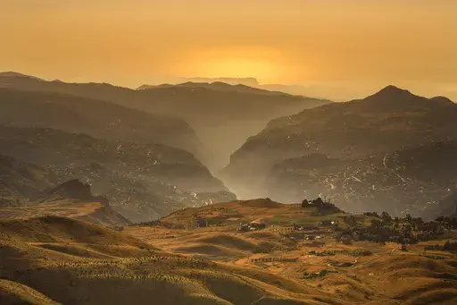 Young cedar trees that have been planted in a forestation initiative 2,400 meters above sea level, bottom left, are scattered in open land overlooking the Kadisha Valley, covered by fog, considered a holy site to Lebanon's Maronite Christians, in the northeast mountain town of Bcharre, Lebanon, Saturday, July 22, 2023. For Lebanon's Christians, the cedars are sacred, these tough evergreen trees that survive the mountain's harsh snowy winters. They point out with pride that Lebanon's cedars are m
