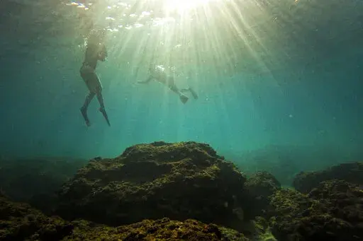 People snorkel in the Mediterranean Sea in Gador sea reserve, in Hadera, northern Israel, Saturday, Oct. 29, 2022. Climate change, invasive species and explosive human activity are threatening what remains of the eastern Mediterranean's severely impacted ecosystems. (AP Photo/Ariel Schalit)