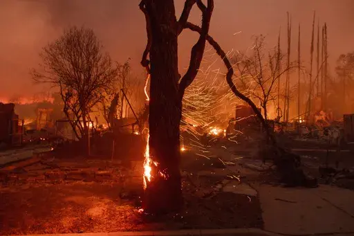 Embers are blown off a burning tree as the Eaton Fire burns in Altadena, Calif., Jan. 8, 2025. (AP Photo/Nic Coury, File)