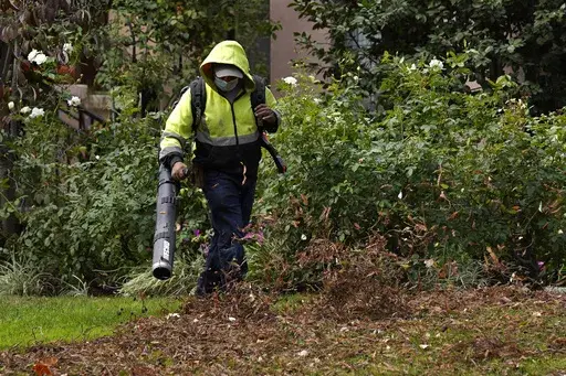 A gardener uses a leaf blower to clear leaves at a home on Oct. 13, 2021 in Sacramento, Calif.. (AP Photo/Rich Pedroncelli, File)