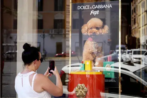 The new Dolce and Gabbana dog perfume called "Fefe" in honour of Domenico Dolce's dog and released earlier this month is displayed on the shop window of the fashion brand boutique in Rome, Tuesday, Aug. 6, 2024. The perfume has been certified suitable for animal use according to the Italian 'Safe Pet Cosmetics' protocol, but not all veterinarians agree with the use of fragrances for dogs, because they could interfere with their sense of smell and cover up bad odours that could be a symptom of va