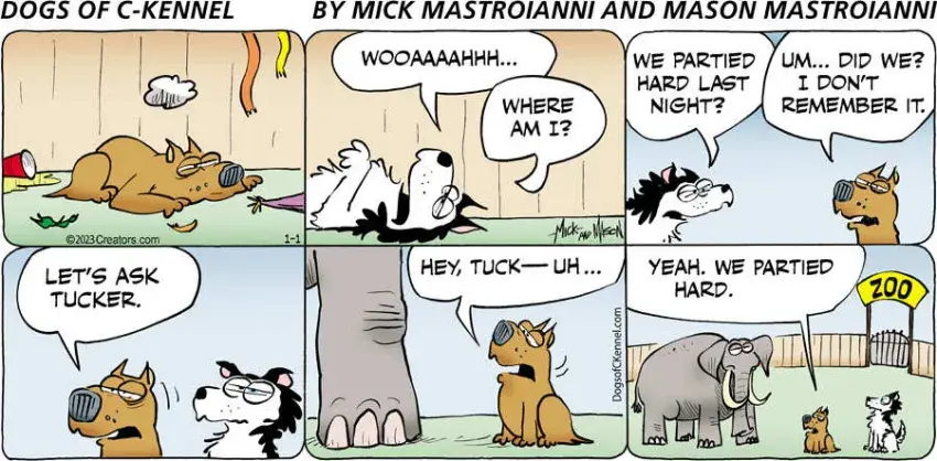 Dogs of C-Kennel for Jan 01, 2023