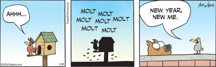 Dogs of C-Kennel for Jan 02, 2023