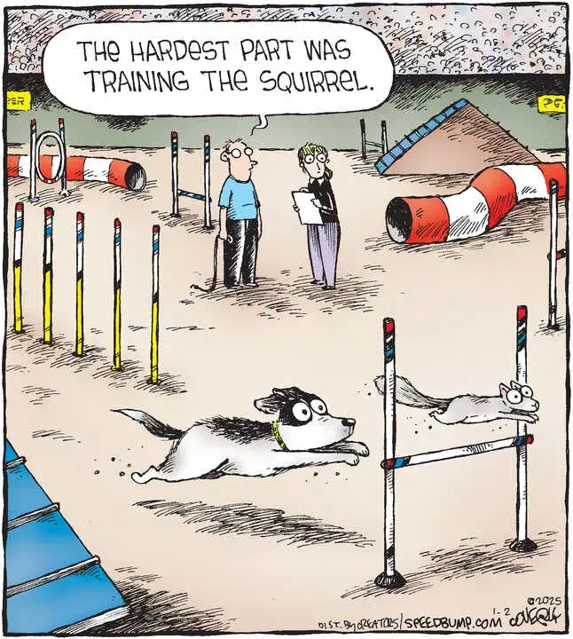 Speed Bump for Jan 02, 2025