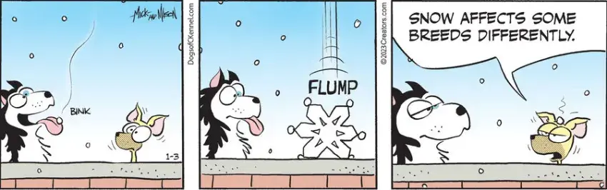 Dogs of C-Kennel for Jan 03, 2023