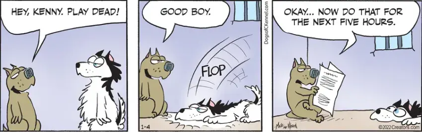 Dogs of C-Kennel for Jan 04, 2022