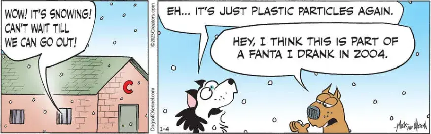 Dogs of C-Kennel for Jan 04, 2023