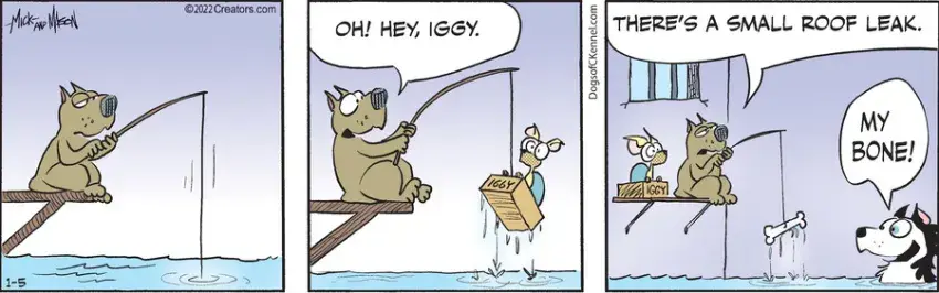 Dogs of C-Kennel for Jan 05, 2022