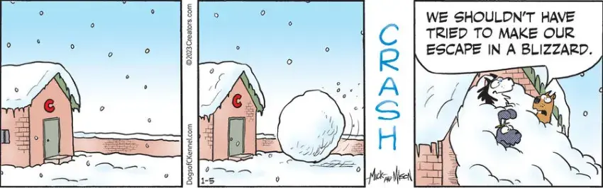 Dogs of C-Kennel for Jan 05, 2023