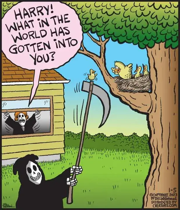 Free Range for Jan 05, 2023