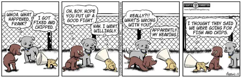 Dog Eat Doug for Jan 05, 2024