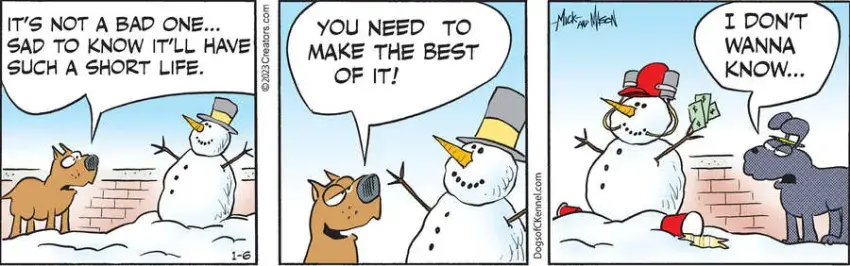 Dogs of C-Kennel for Jan 06, 2023