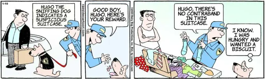 The Other Coast for Jan 10, 2023