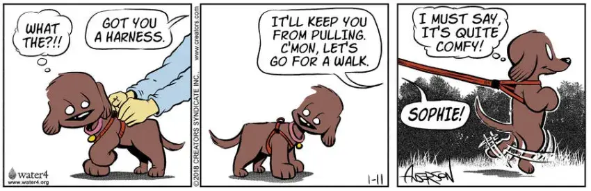 Dog Eat Doug for Jan 11, 2023