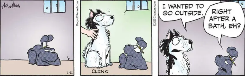 Dogs of C-Kennel for Jan 11, 2023