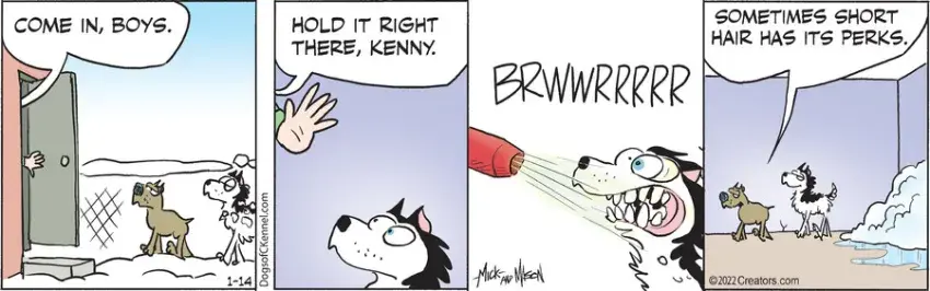 Dogs of C-Kennel for Jan 14, 2022