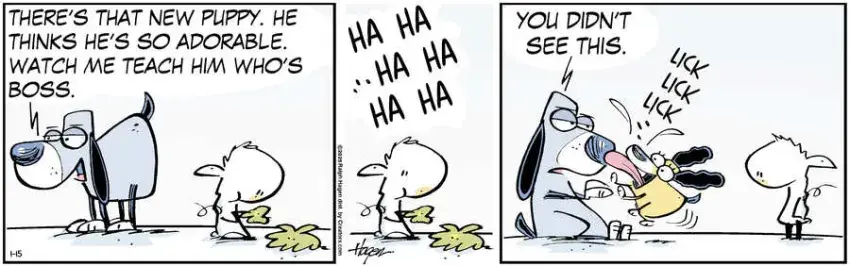 The Barn for Jan 15, 2025