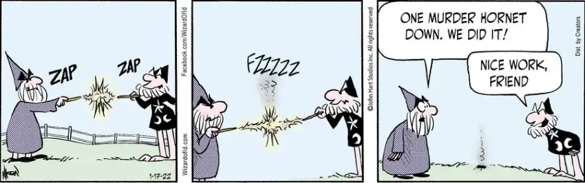 Wizard of Id for Jan 17, 2022