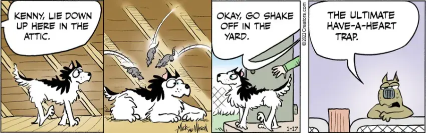 Dogs of C-Kennel for Jan 17, 2022