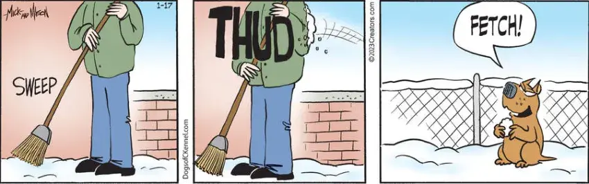 Dogs of C-Kennel for Jan 17, 2023