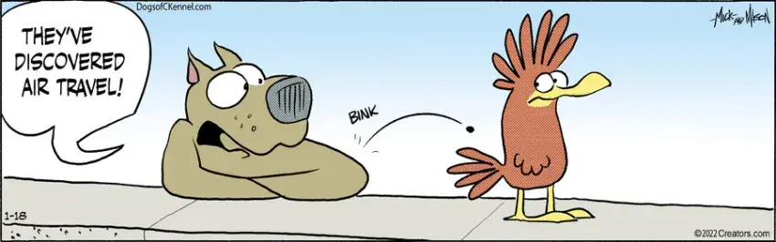 Dogs of C-Kennel for Jan 18, 2022