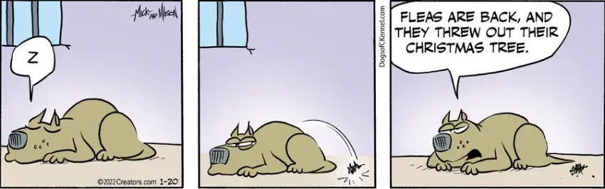 Dogs of C-Kennel for Jan 20, 2022