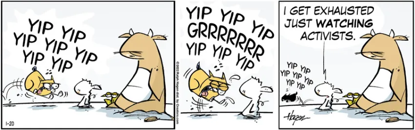 The Barn for Jan 20, 2022