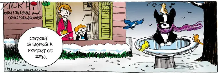 Zack Hill for Jan 21, 2024