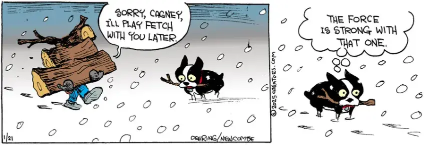 Zack Hill for Jan 21, 2025